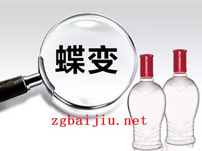 白酒企业想要创新需要做些什么？