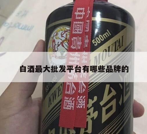 贴牌白酒批发一手货源去哪个网站,南阳白酒市场的主流品牌有哪些?