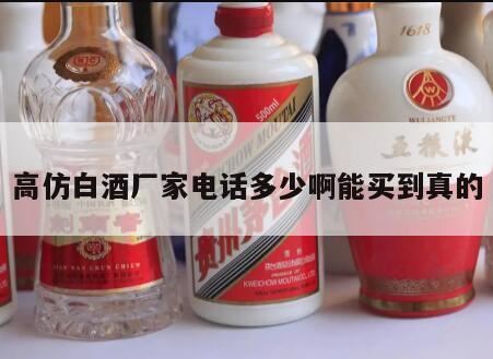 怎么避免买到茅台的仿真酒呢,如何鉴别真酒仿真酒?