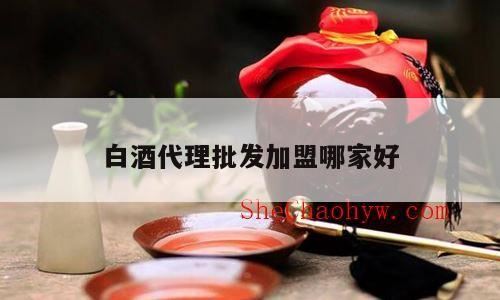 白酒加盟代理哪家好,白酒招商加盟什么酒的代理好?