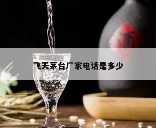 飞天茅台酒县级代理条件,去茅台酒厂能买到53度飞天酒吗