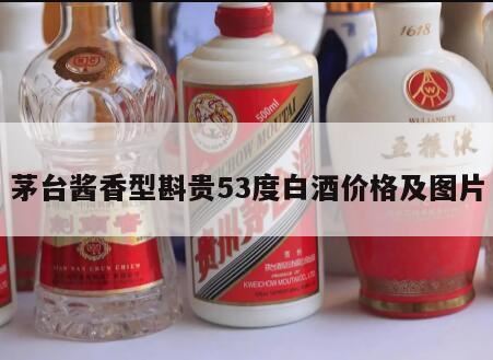 茅台镇酱香酒斟贵,怎么样才能了解清楚贵州金窖斟贵53度价钱