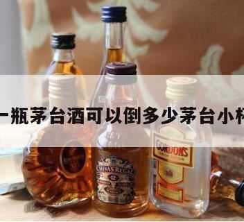 一瓶茅台酒可以倒多少小杯的酒,茅台杯子一瓶多少杯