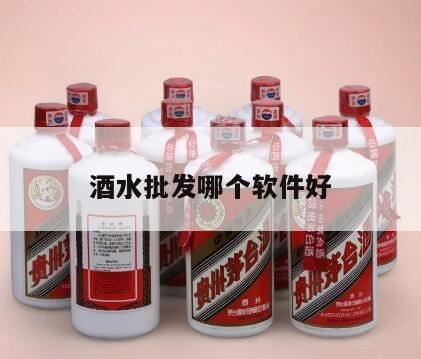 酒水批发用哪种软件好,酒类批发用哪种进销存软件合适