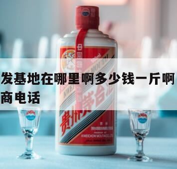 纯粮酒一斤多少钱,真正的纯粮酒多少钱一斤