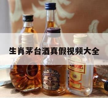 兔年茅台酒真假鉴别,如何鉴别茅台生肖酒的真假